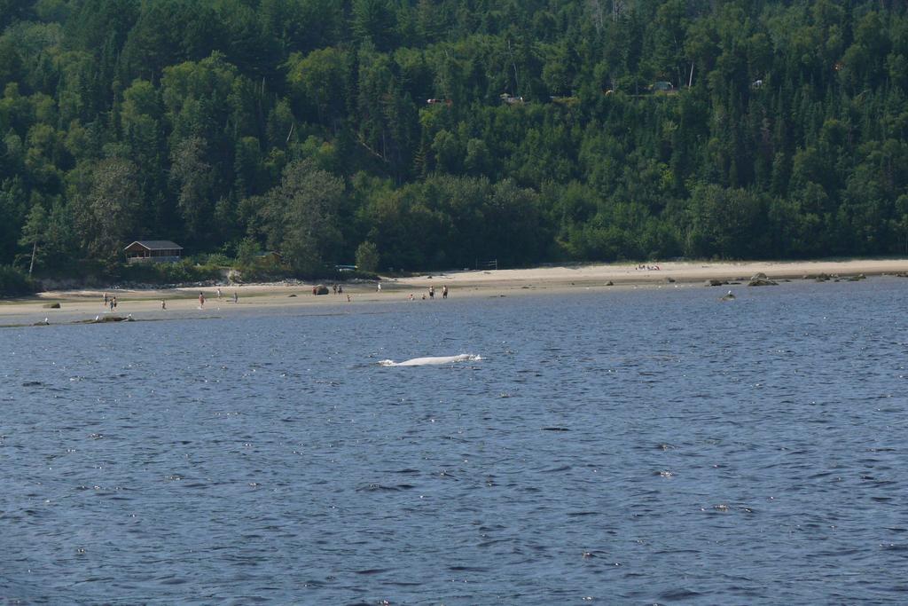 Riviere Petit Saguenay Villa Ngoại thất bức ảnh